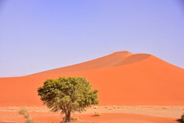 Herz Düne in der Namib Wüste Namibia