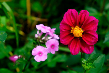 Beautiful Garden of Giverny of Monet