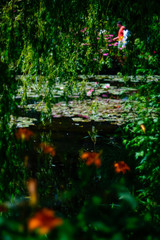 Obraz na płótnie Canvas Beautiful Garden of Giverny of Monet