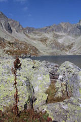 Veľké Hincovo pleso lake in Mengusovska dolina valley, High Tatras, Slovakia © dalajlama