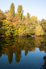 Herbst im Wiener Prater