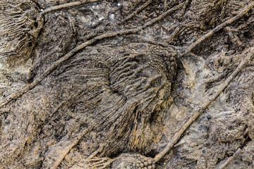 textura piedra