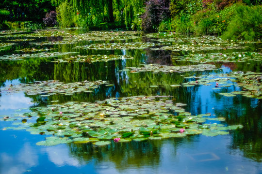 Beautiful Garden of Giverny of Monet