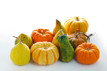 colorful decorative pumpkins on a white background