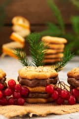 Figured cookies with a layer of chocolate filling, red berries of viburnum, spruce branch with green needles, Christmas card, Christmas decorations.