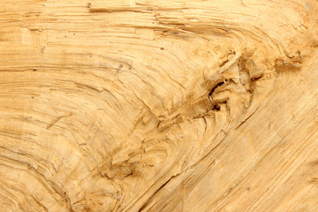 Oak wood surface texture knot