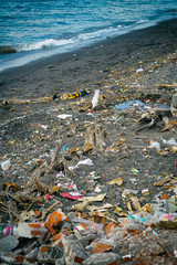 Chicken looking for food on polluted beach in South East Asia.