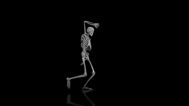 Skeleton dancing on isolated black background with reflective floor, seamless loop animation