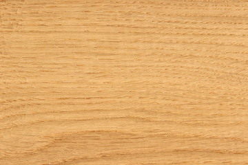 Oak wood texture surface detail