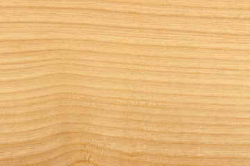 Ash wood texture surface detail