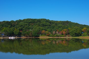 秋の諏訪の池　島原半島