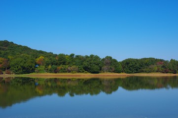 Fototapeta na wymiar 秋の諏訪の池　島原半島