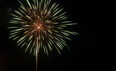 Single starburst with gold glitter center with green edges with black background on the fourth of July