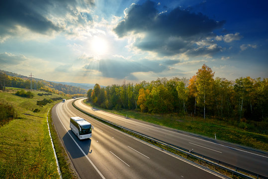 Three white buses traveling on the asphalt highway between deciduous forest in autumn colors under the radiant sun and dramatic clouds. View from above.
