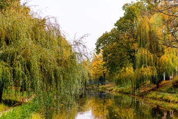 The city canal across a huge willow trees in autumn. Hungary, Gyula