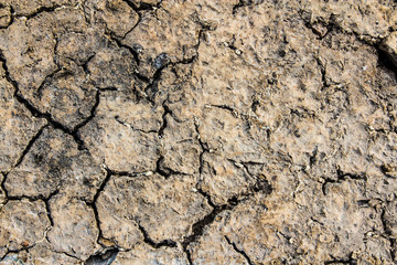 tierra agrietada