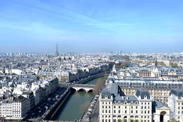 Obraz premium View over Paris towards Eiffel Tower from Notre Dame