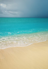 Sea wave on the sandy beach.