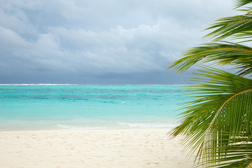 Obraz na płótnie Canvas Palm trees on a tropical beach
