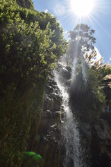 waterfall in forest