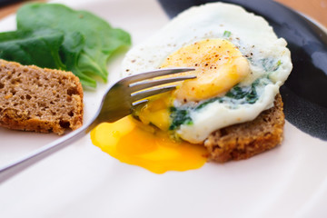 Fried egg with spinach on bread for breakfast on plate 