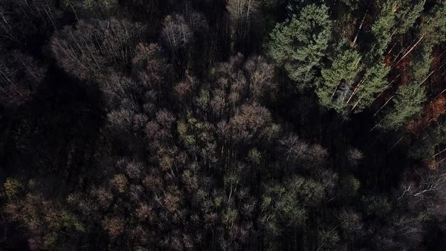  krajobraz las drzewa natura jesień krajobraz pola łąki 