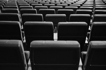 Cinema hall without people. Seats in the cinema