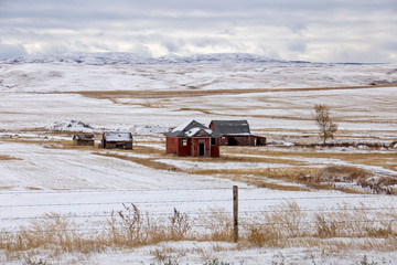 Cypress Hills First Snowfall