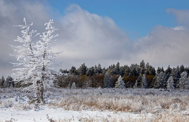 Cypress Hills First Snowfall