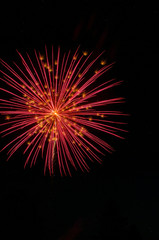 Fototapeta premium Bright red brocade firework with gold glitter highlights against a black sky