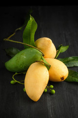 Ripe yellow and green Mango on dark background., vertical composition