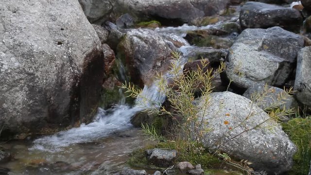 The streamlet of fresh cool water flows among stones