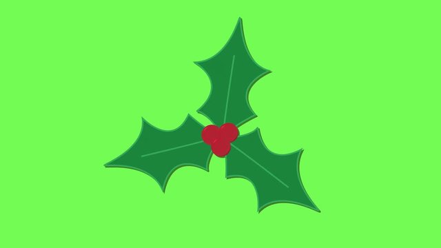 Holly bush festive christmas icon Animation green screen
