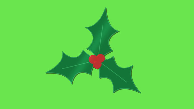 Holly bush festive christmas icon green