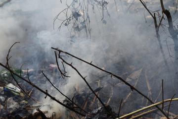 Gray and black color smoke from burning sticks , Bonfire with combustion air pollutant, Firewood...