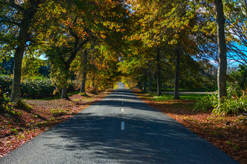 Naklejka premium Road
