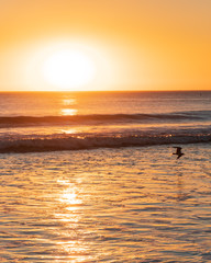 Venice Beach Ocean View Sunset 