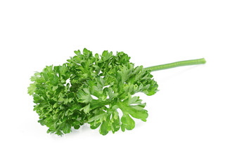 fresh green parsley vegetable isolated on a white background
