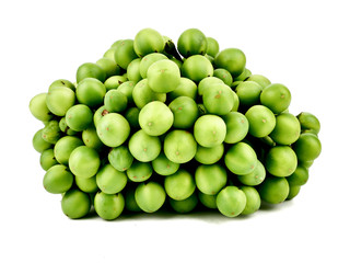 Solanum torvum,turkey berry,Pea Eggplant isolated on a white background,element of thai food concept