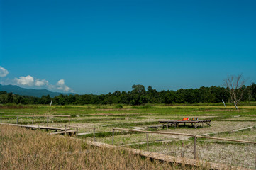 landscape  photography : Landscapes of rice fields Asia and lifestyle farmers