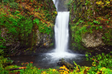 Fototapeta na wymiar Multnomah Falls in Autumn