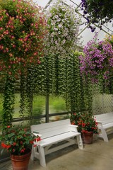 Hanging flowered plants on a patio with white benches.