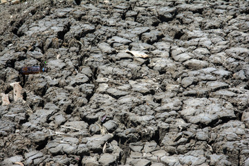 Dry soil texture for background. Dry land.
