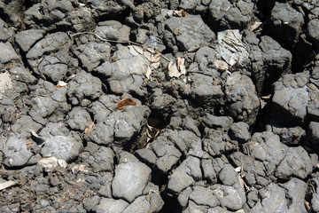 Dry soil texture for background. Dry land.