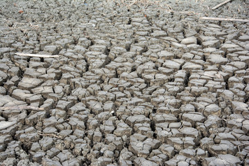 Dry soil texture for background. Dry land.