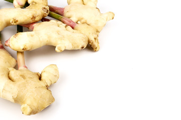 Fresh ginger root or rhizome isolated on white background, Ingredients of herbs for healing and healthy food or Natural therapy concept