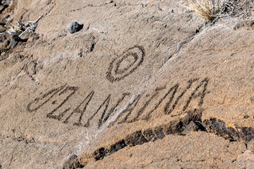 Petroglyphs carved into volcanic rock, on the King's Trail (