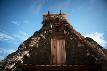 茅葺屋根の家