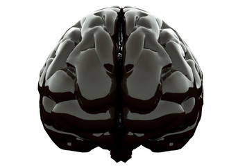 Black glossy brain, isolated on white background. 3D illustration