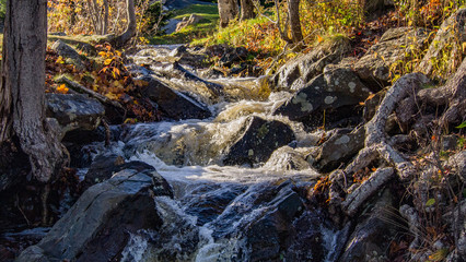 Fototapeta premium waterfall in the forest, autumn foliage, no people, peaceful